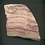 Stromatolite 